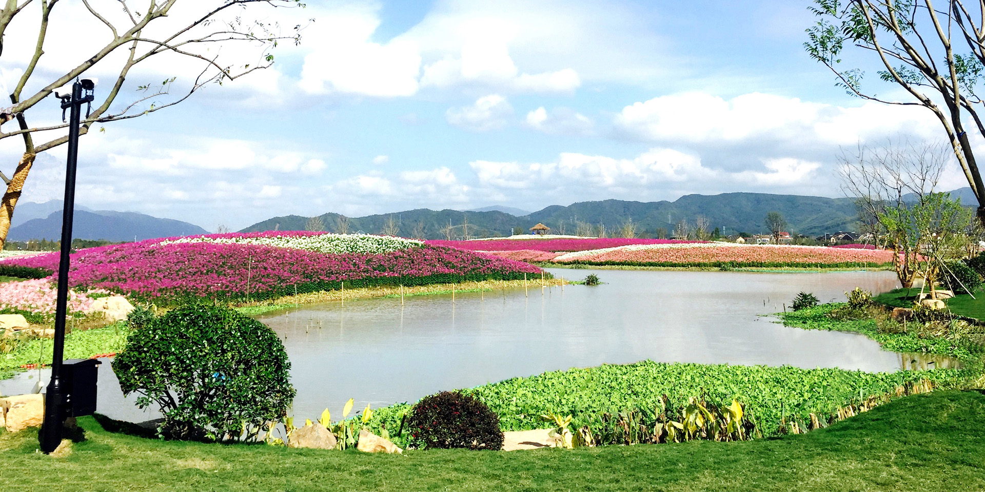 Hangzhou Yuhang Jinshan Flower Sea